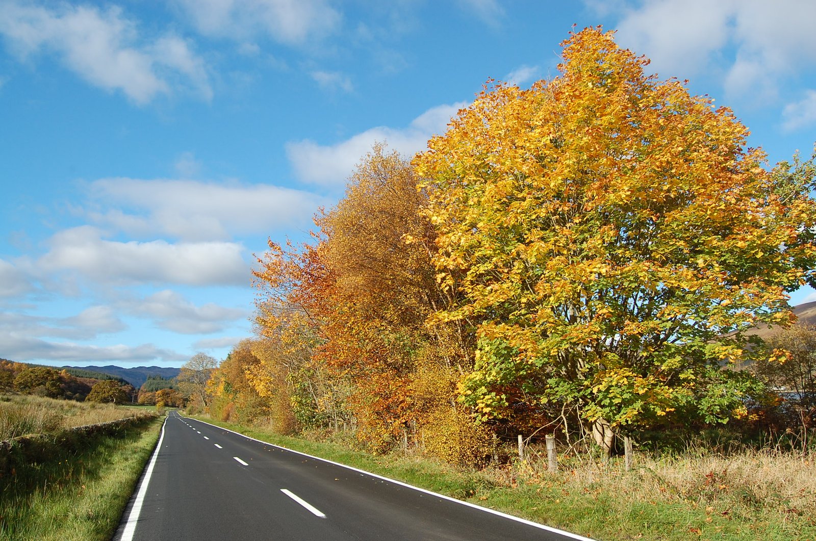 Autumn on the Isle of Bute